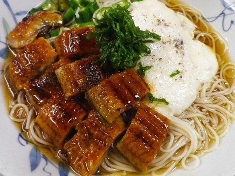 オクラ大和芋うなぎ素麺